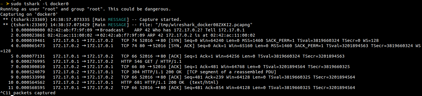 tshark interface capture